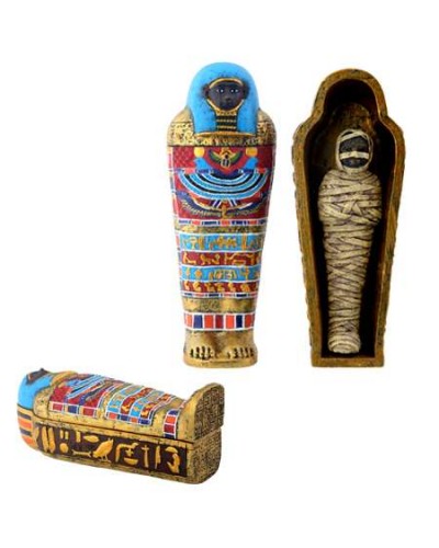 Saqqara Mummy in Mummy Case